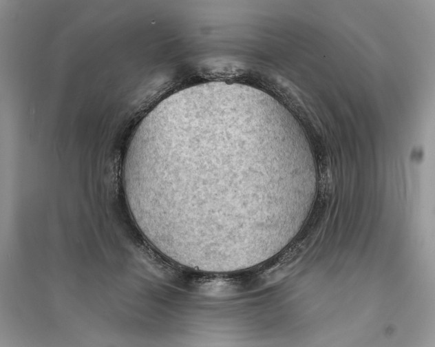 X0000094450460200711291703