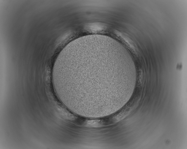 X0000094450461200711291703