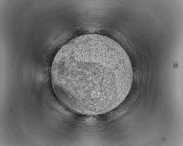 X0000094450462200711291703