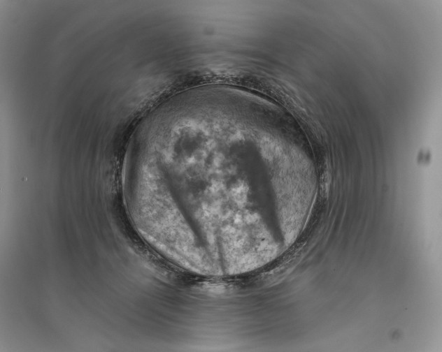 X0000094450464200711291703