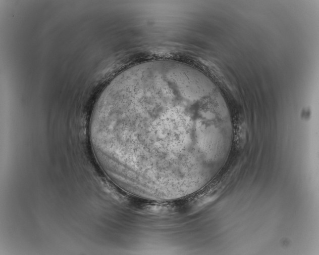 X0000094450466200711291703