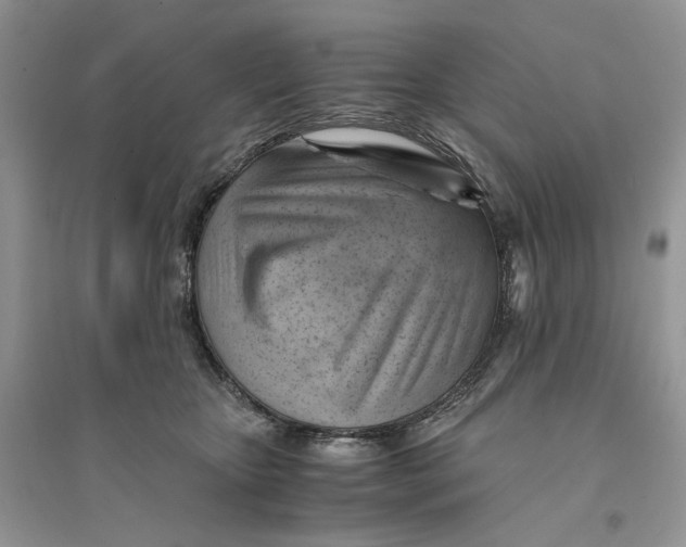 X0000094450467200711291703