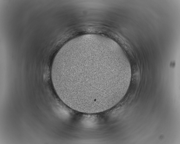 X0000094450469200711291703