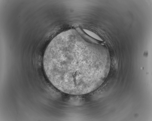 X0000094450470200711291703