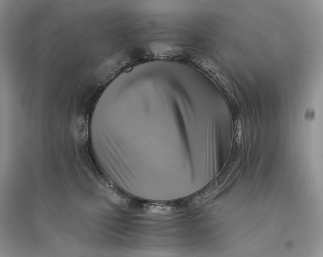 X0000094450471200711291703