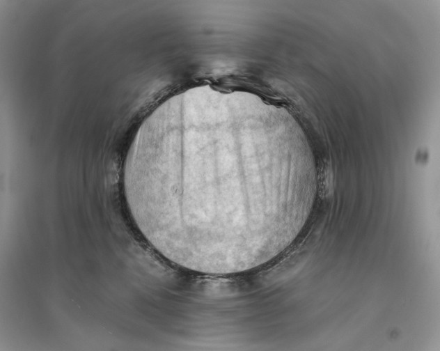 X0000094450472200711291703