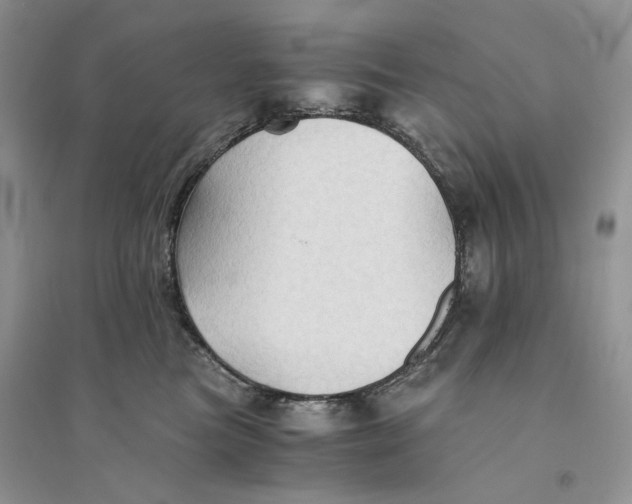 X0000094450473200711291703