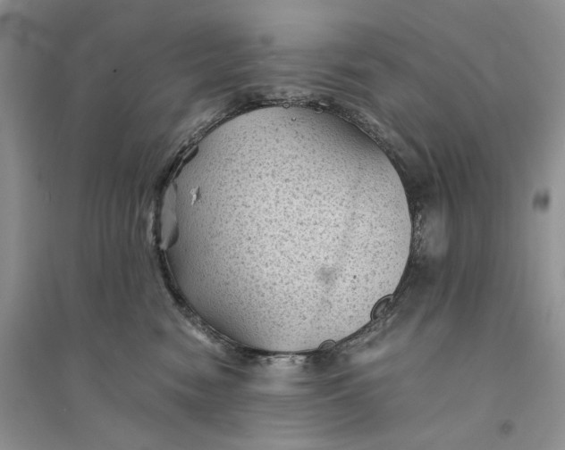 X0000094450474200711291703