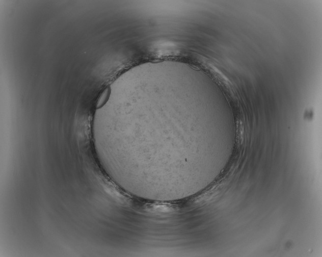 X0000094450475200711291703