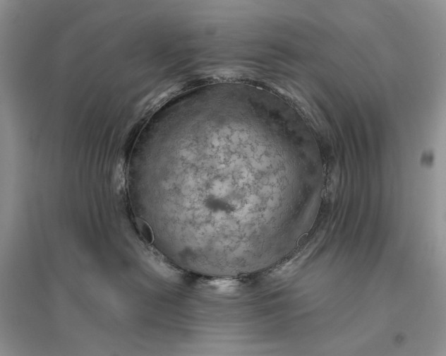 X0000094450478200711291703