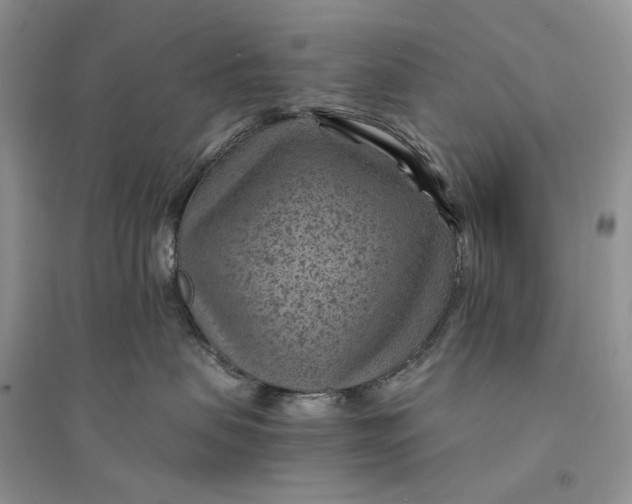 X0000094450479200711291703