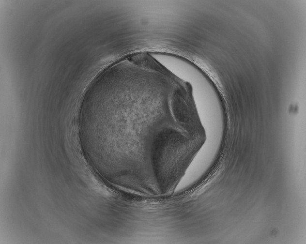 X0000094450481200711291702