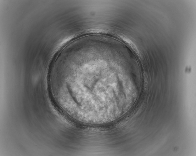 X0000094450482200711291702