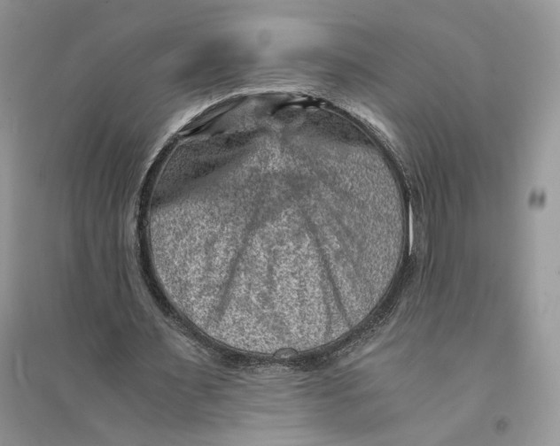 X0000094450483200711291702