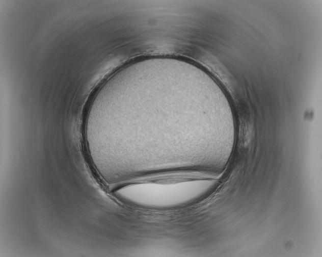 X0000094450485200711291702