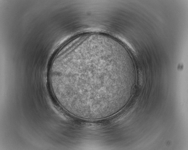 X0000094450486200711291702