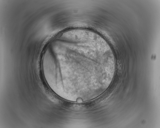 X0000094450487200711291702