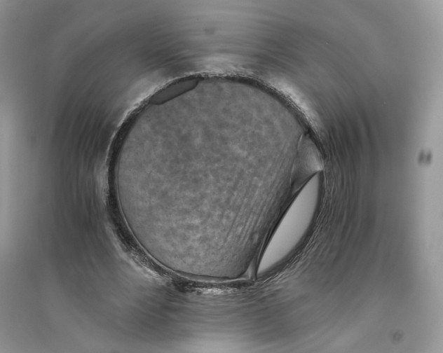 X0000094450488200711291702