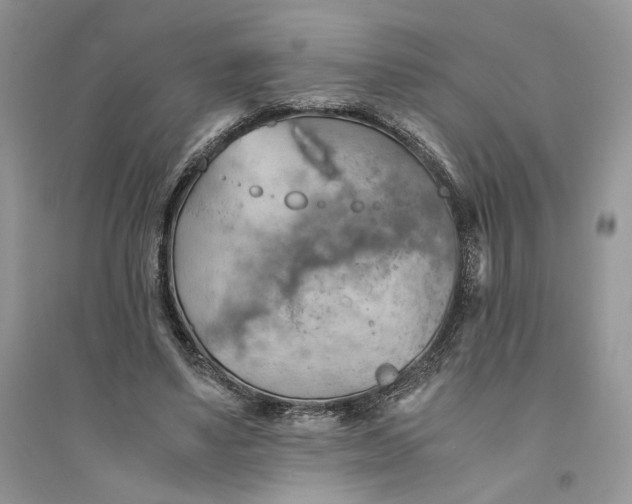 X0000094450491200711291702