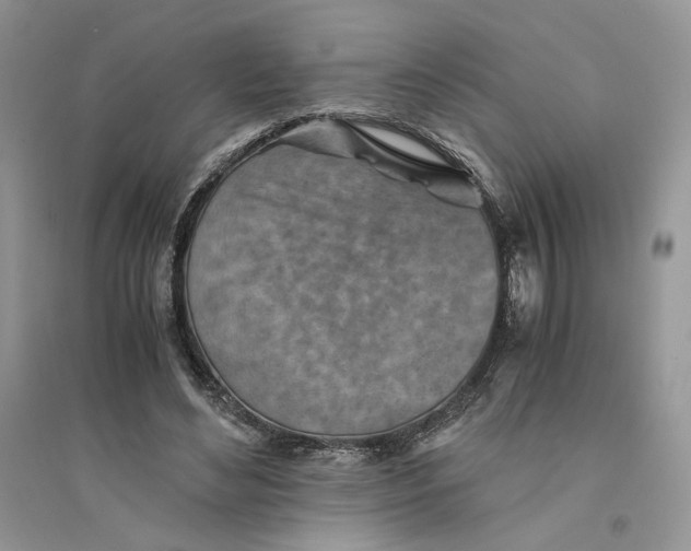 X0000094450492200711291702