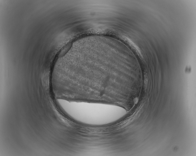 X0000094450493200711291702