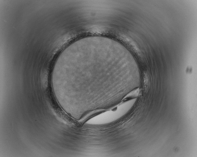 X0000094450496200711291702