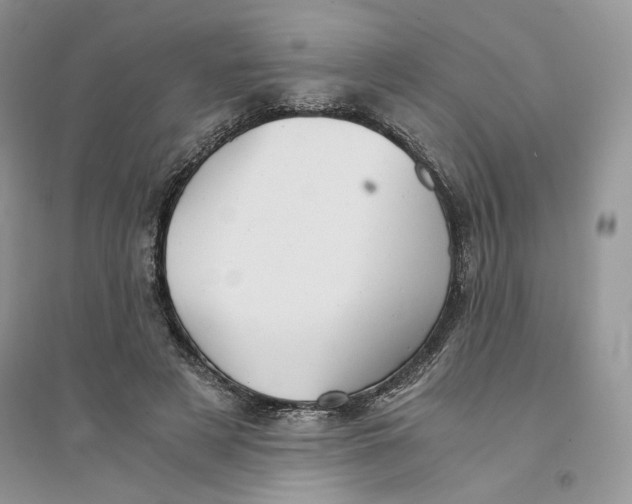 X0000094450497200711291702