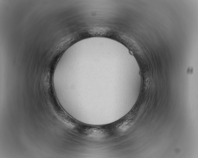 X0000094450498200711291702