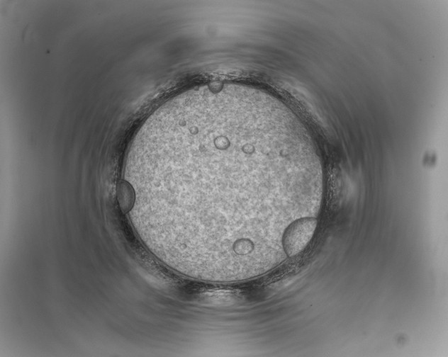 X0000094450499200711291702