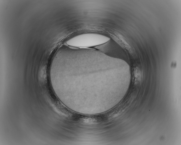 X0000094450500200711291702