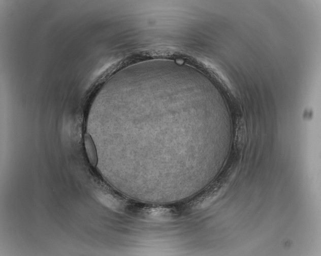 X0000094450501200711291702