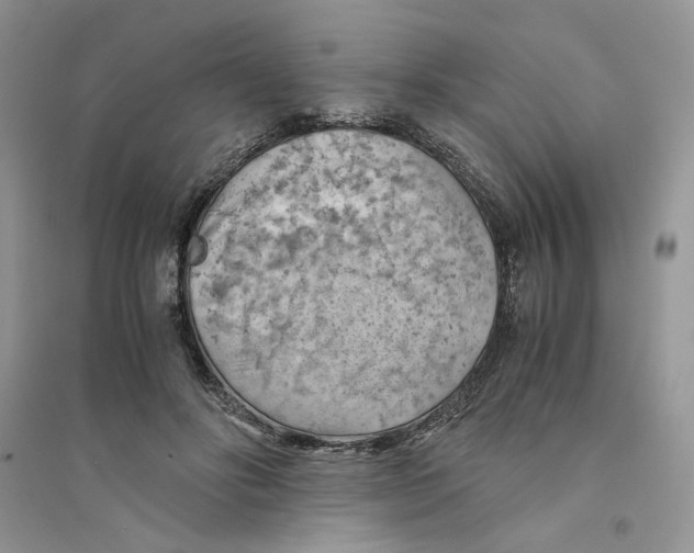 X0000094450502200711291702