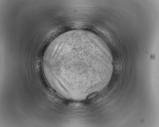 X0000094450503200711291702