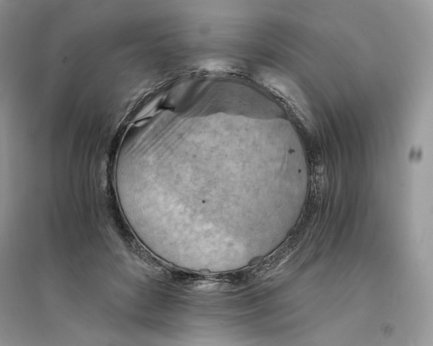 X0000094450504200711291702