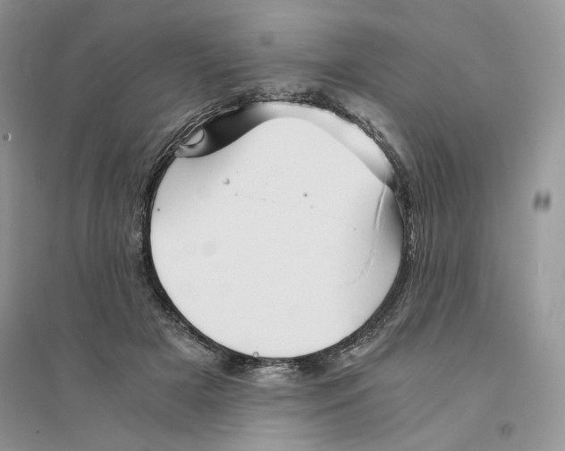 X0000094450505200711291702