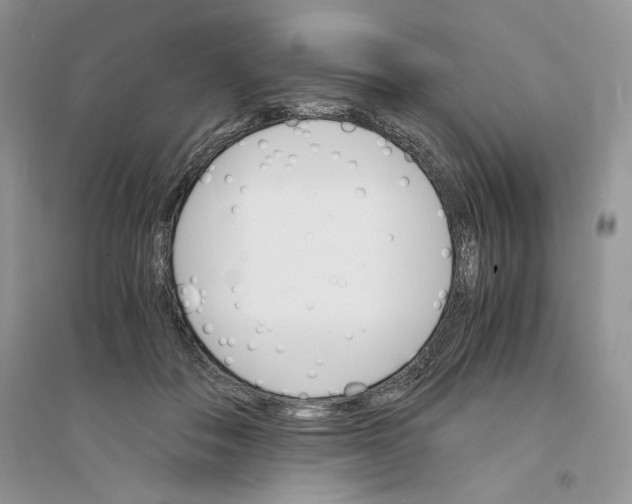 X0000094450506200711291702