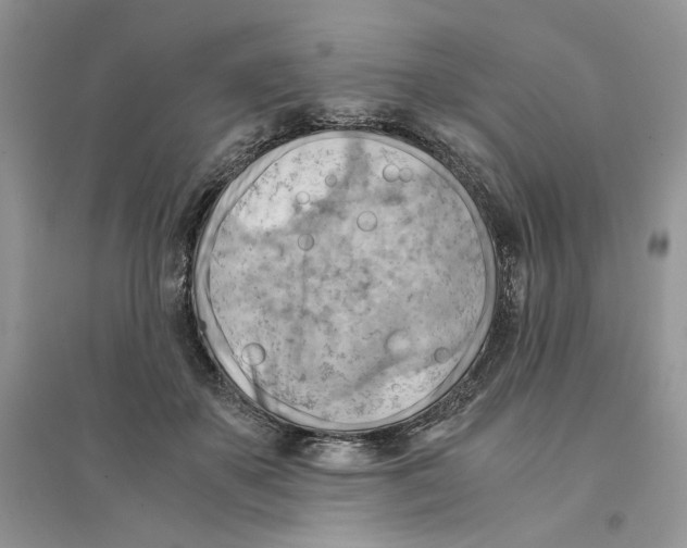 X0000094450507200711291702