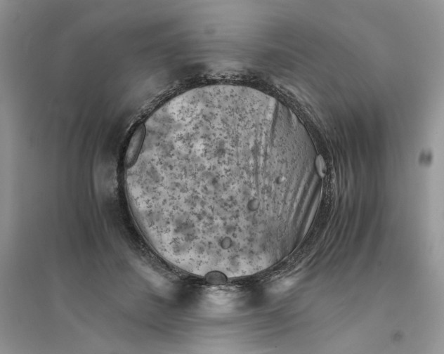 X0000094450508200711291702