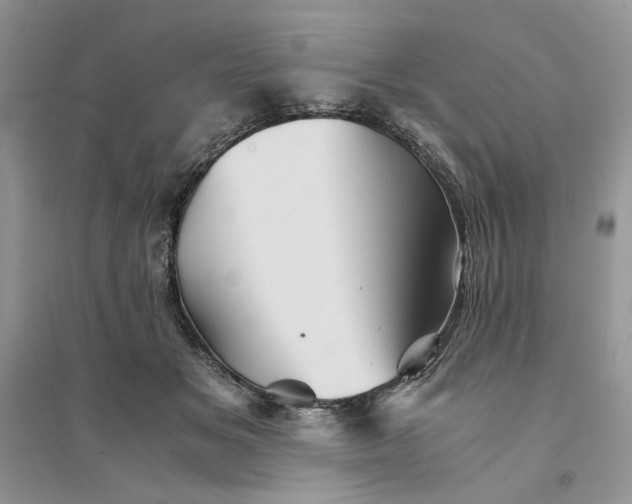 X0000094450509200711291702