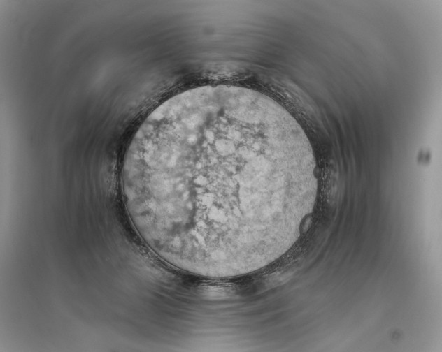 X0000094450510200711291702