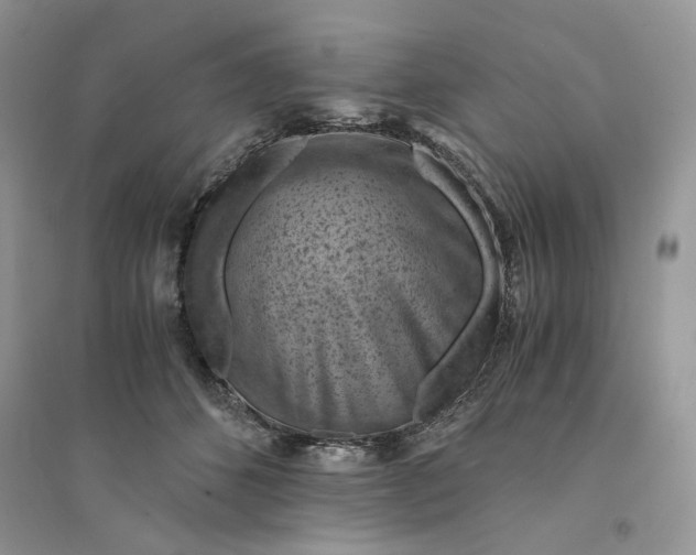 X0000094450512200711291702