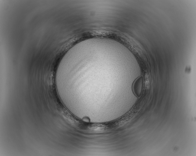 X0000094450514200711291702