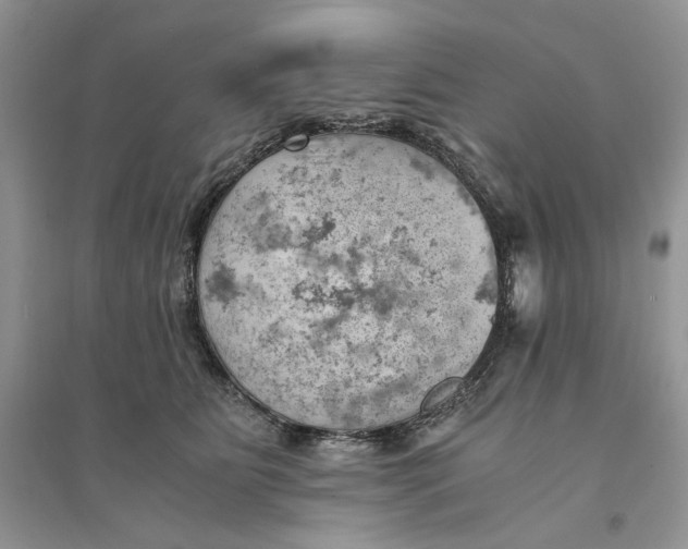 X0000094450515200711291702