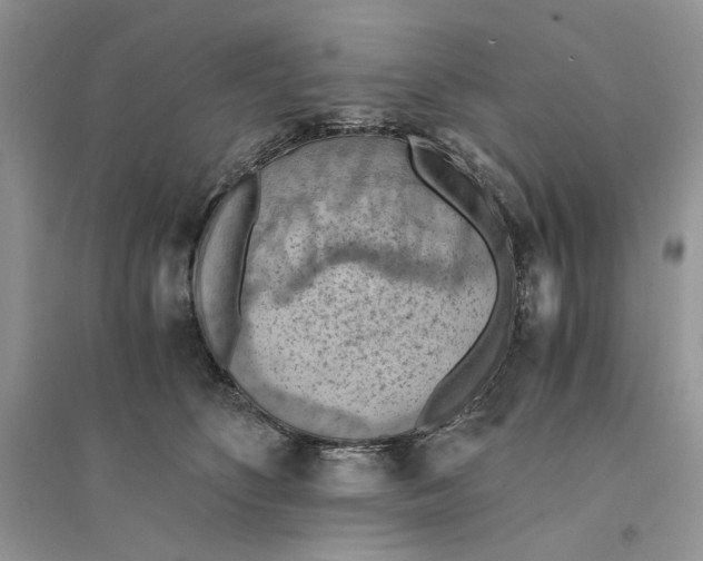 X0000094450516200711291702