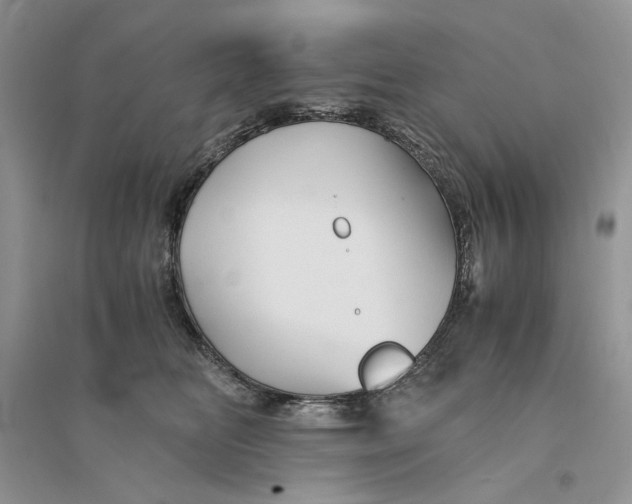 X0000094450518200711291702