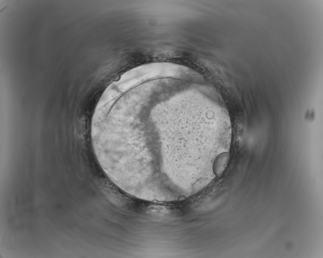 X0000094450519200711291702