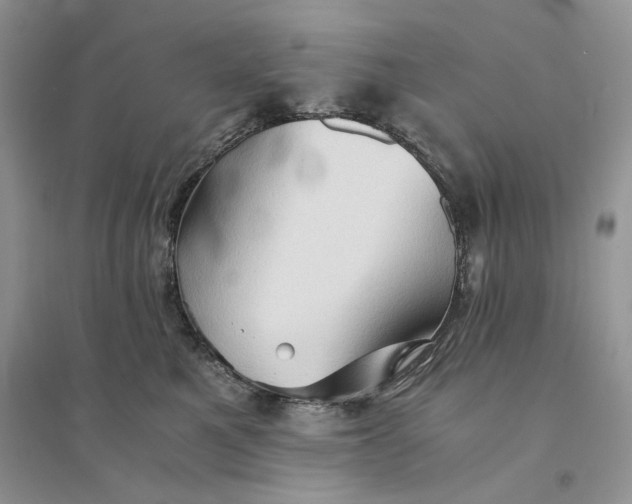 X0000094450521200711291702