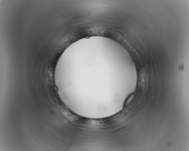 X0000094450522200711291702