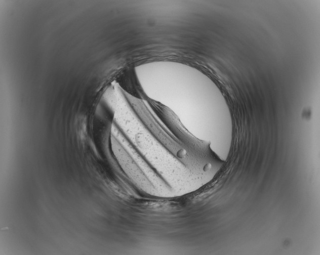 X0000094450524200711291702