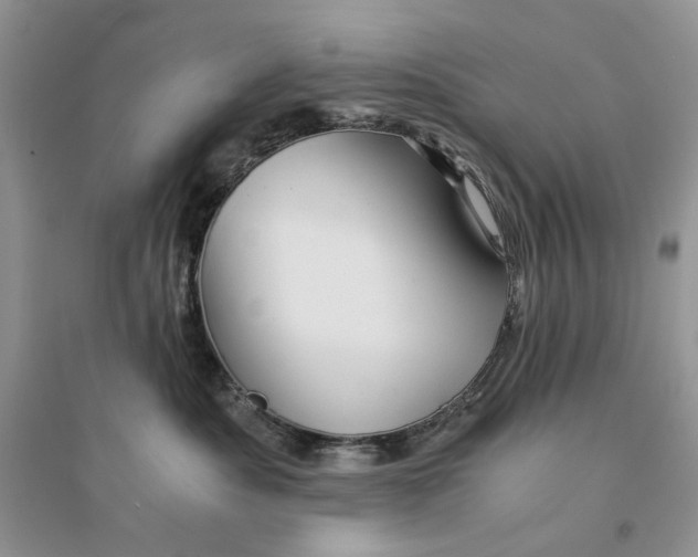 X0000094450525200711291702